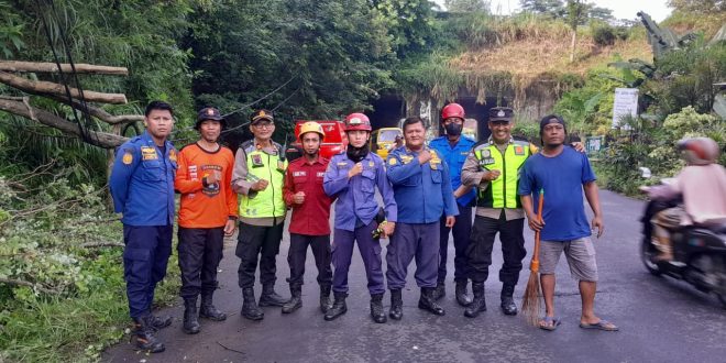 Senkom Kabupaten Semarang bersama BPBD dan Damkar sigap evakuasi pohon tumbang di Desa Susukan, wujud kolaborasi tanggap bencana.